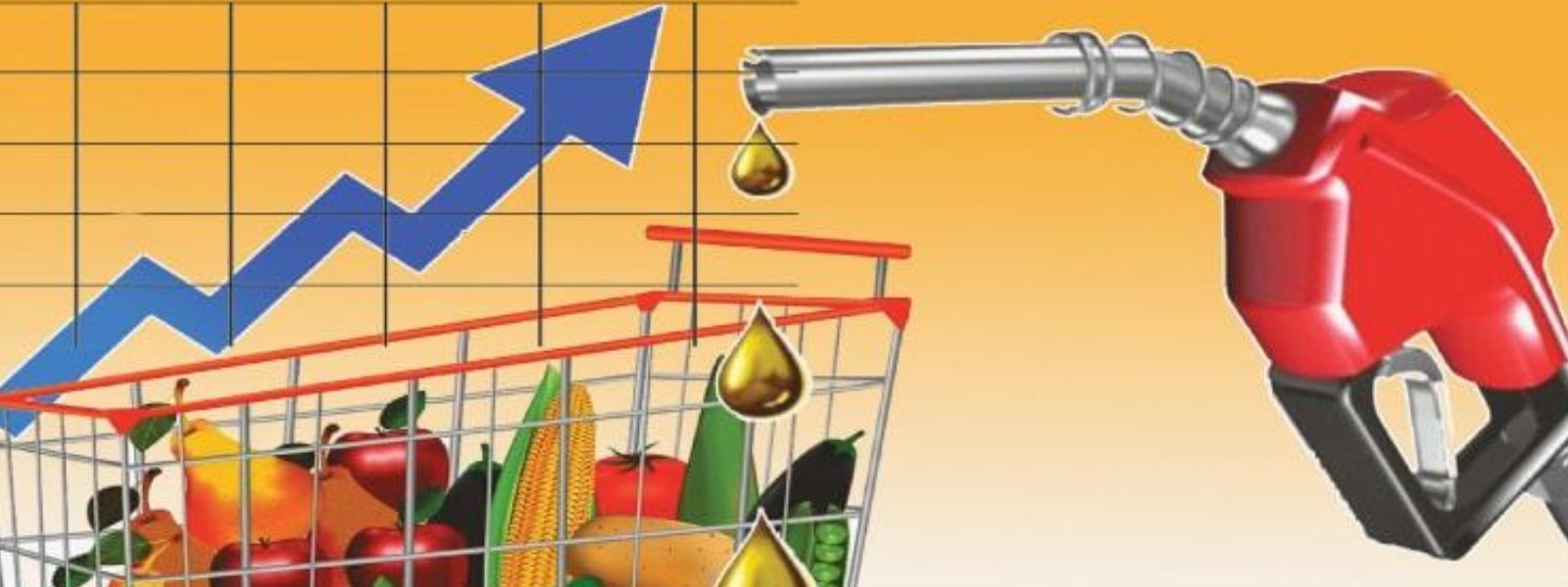 No Price Hikes in Vegetable Prices in Long Term